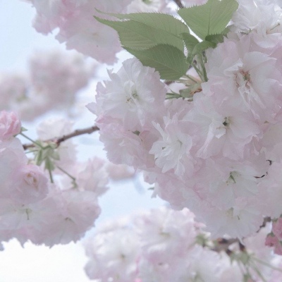 榆阳福瑞交流群